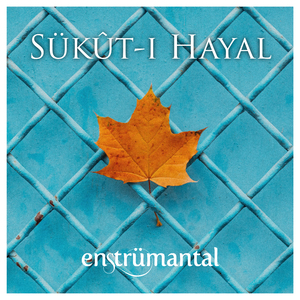 Sükut-ı Hayal
