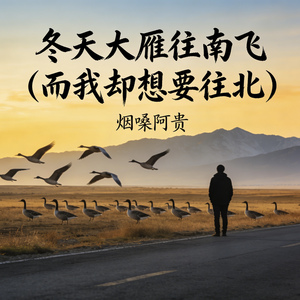 冬天大雁往南飞(而我却想要往北)