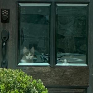 All My Subs Like Radiohead