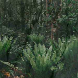 The Wizard Fights Back