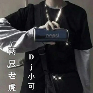 一首想家的歌（抖音版）