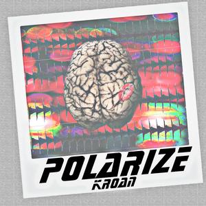Polarize