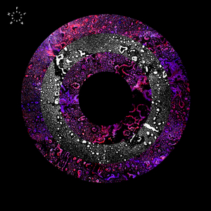 Kunstrasen (Original Mix)