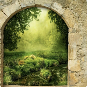 庭をめぐる、冒険がはじまる