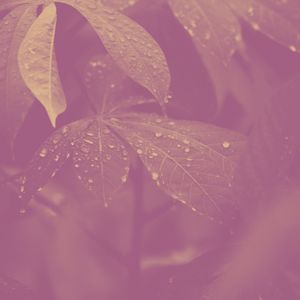 微妙的泰式按摩心情