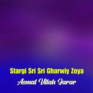 Somra Di Khoshal Pa Khanda Khanda Sangr Ta Zi