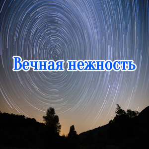 Заключительный свет