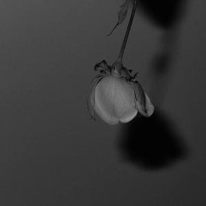 溯（治愈女声版）