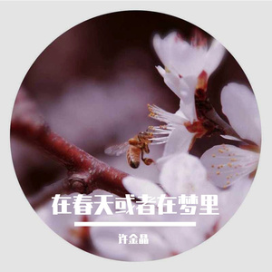 在春天或者在梦里（新版）