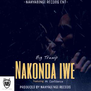 NAKONDA IWE