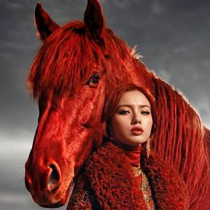Fire Horse
