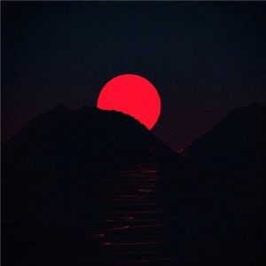 盛开的格桑花 伴奏