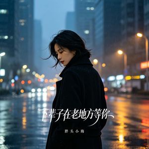 下辈子在老地方等你（烟嗓版）