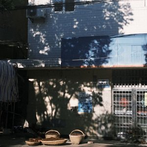 夏天 午后 蝉鸣