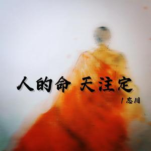 人的命 天注定 （电子木鱼版）