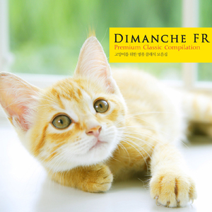 Schubert: Piano Quintet In A Major D.667 'Trout' - V. Finale