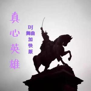 真心英雄-（DJ舞曲版）-www.XERDJ.com