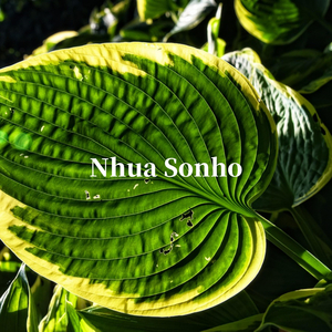 Nhua Sonho