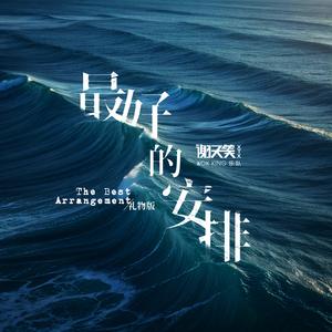 最好的安排（一枝花到底要开多久）