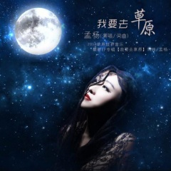 心上情歌美美的唱