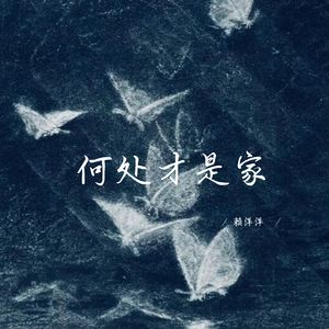 何处才是家 (温暖女生版)