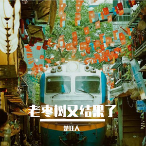 老枣树又结果了