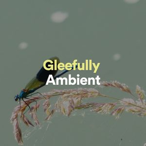 Reconciliatory Ambient