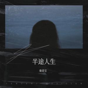 半途人生