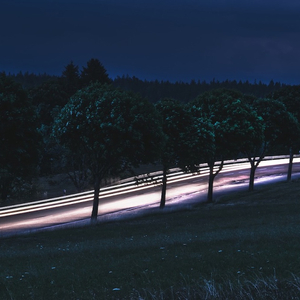 MOODY (feat. COLDTREE)