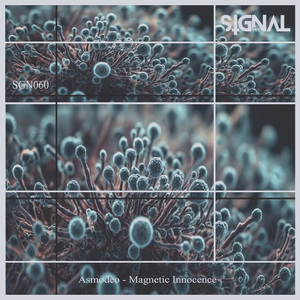 Exoplanet Destruction