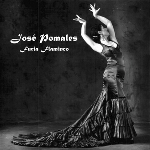 Furia Flaminco (feat. David Lugo)