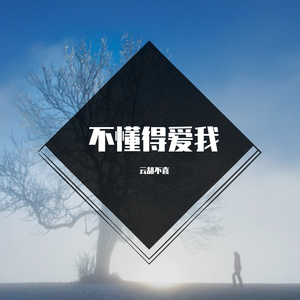 韦雄-根本你不懂得爱我（云胡不喜 remix）
