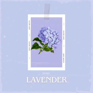 Lavender