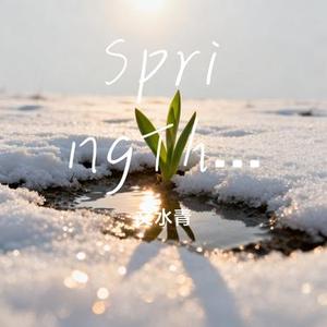 SpringThing (Cover Veda)