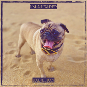 I’m a Leader