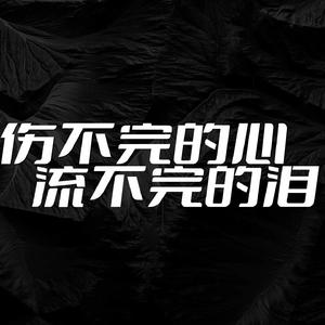 伤不完的心 流不完的泪 (DJ默涵版)