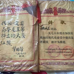 我为祖国献石油DJ新版