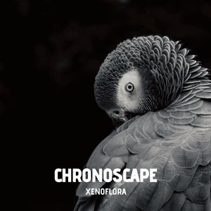 Chronoscape
