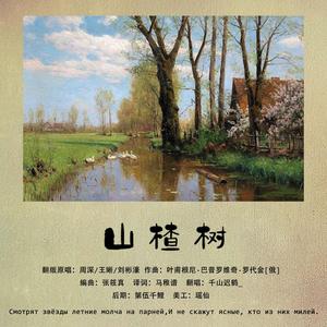 山楂树(声入人心版)