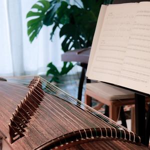 纯古筝 | 杨花落尽子规啼