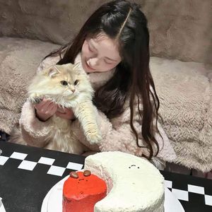 午后蛋糕与小怪兽