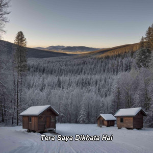 Tera Saya Dikhata Hai