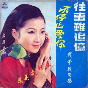 不停止爱你