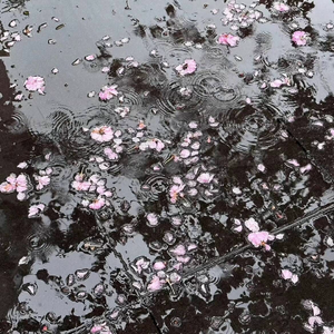 那时雨（DJ升调版）