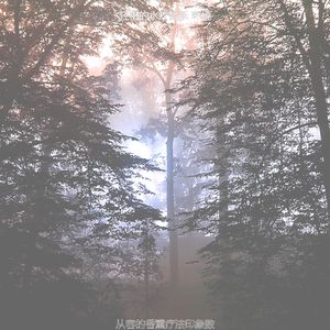 温和油按摩梦想