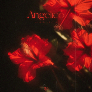 Angélico