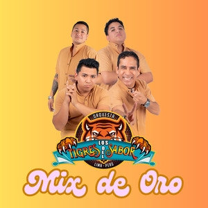 Mix de Oro: Búsquenla/Adiós Adiós Amor/Tu Lloras por El