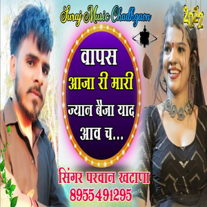 वापस आजा री मारी ज्यान बैजा याद आव च