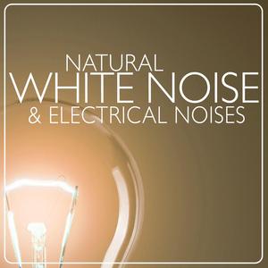 White Noise: Electric Fans