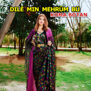 Halay Her Tişt Diqede